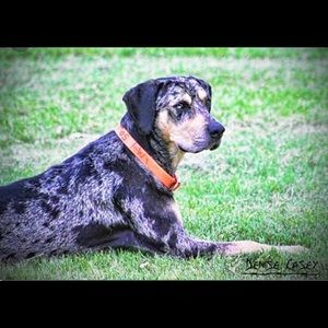 Meet your Posher, Brad